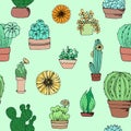 ÃÂ attern cacti and succulents colorized on green background